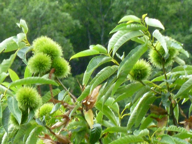 P1040858