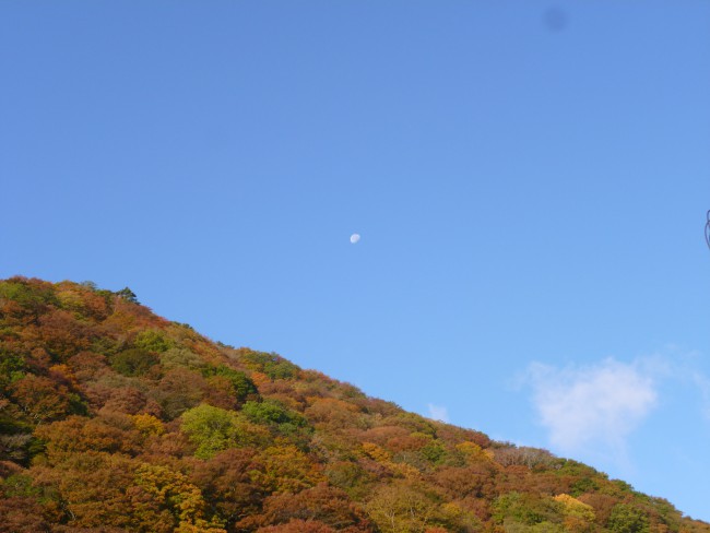 P1050069