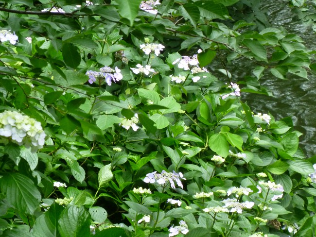 P1050797