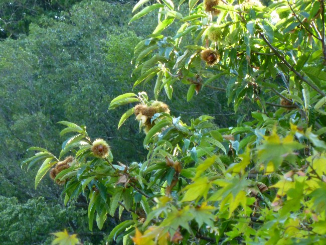 P1060059