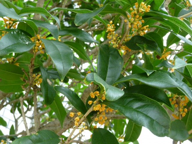 P1060087