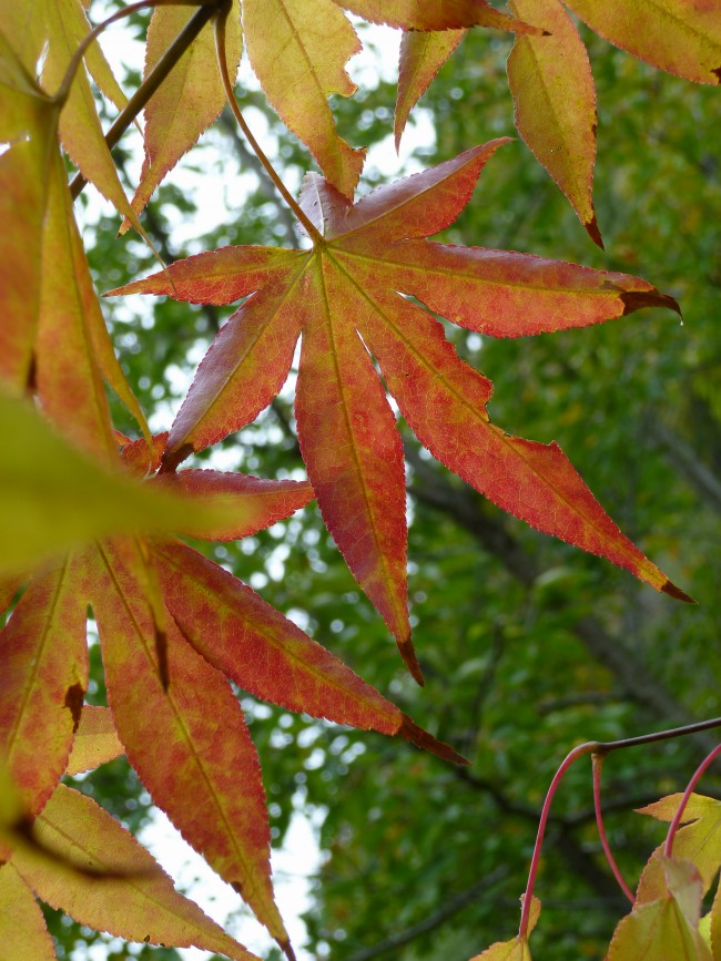 P1060122